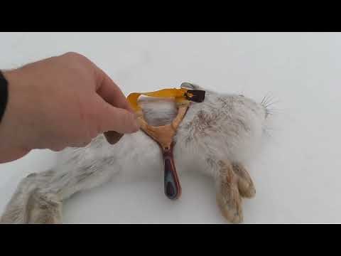 Slingshot Hunting Rabbits: How-to and Analysis