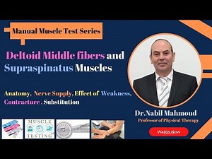 Shoulder Abduction Muscles