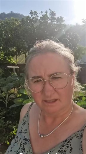 Como salvar horta queimada: o que aproveitar depois de queimadas as plantas