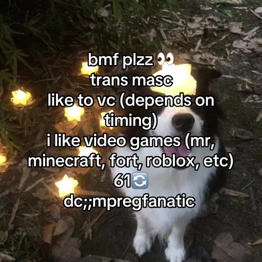 Exploring the BMF Community on Roblox and Beyond