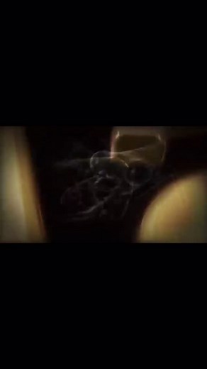 Bug Wars: Tiger Beetle vs Raspy Cricket