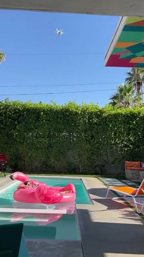 Having too much fun in Palm Springs 🦩👀