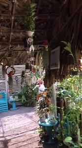 51 reactions | Peace & Love 李 | Love To Eat | Facebook