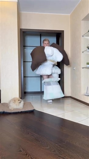 Wondering what to wear😁🤣 #fashionaddict #fashionblog #fashionstyle #fashiontipswomen #styleblogger #styleinspiration #styleinspo #fashiondaily #fashiongram #fashioninspiration #dressoftheday ⁣#outfitpost #outfitid #funny | Wowee