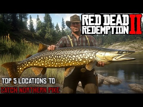 The Top 5 Locations to Catch Northern Pike! (Red Dead Redemption 2)