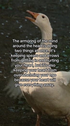 From the new Ram Dass book!! “There Is No Other” is a new compilation of Ram Dass lectures and writings on compassion, unity, and finding The One ❤️ check it out on our website or wherever you get books! #ramdass #beherenow #spirituality #booktok #quotes