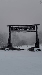 Another 6.5" of Cheat Mountain Magic this morning brings us to 9.5" in the last 48 hours, and it's still coming down! Get up here! ❄🏂❄⛷❄ | Snowshoe Mountain