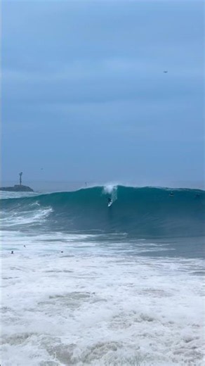 MASSIVE WAVES HIT THE WEDGE! #Surfing #Bodyboarding #TheWedge