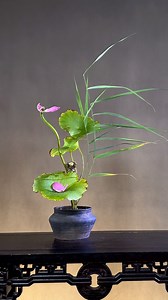 23K views · 560 reactions | A reed slanting wind listens to the residual words flowers arrangement tutorials ..! #canbox #teachesflowerarrangement #dmentflower #teachesflower #flower #flowerlovers | D’men Flowers | Facebook