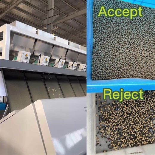 High Capacity CCD Color Sorter Soybean Color Sorting Machine