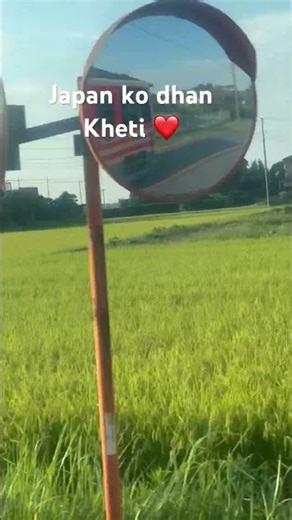 Japan Agriculture ❤️Near the Tokyo