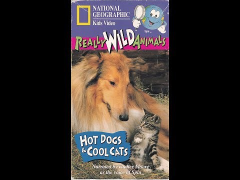 Hot Dogs and Cool Cats VHS