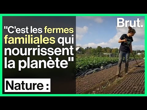 An intensive organic farm model to transform global agriculture