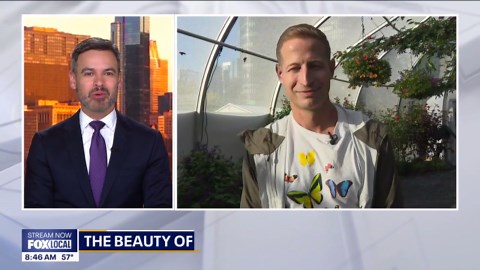 Last chance to step into summer at Navy Pier’s Butterfly House