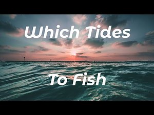 What Tides To Choose (Shore Fishing UK) - How Tides Affect Shore Fishing - Sea Fishing Tutorial