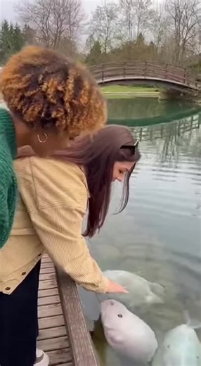 goon Boy ai (@goon.boy.ai)’s videos with Originalton - goon Boy ai