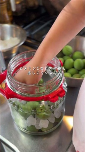 Homemade Plum Syrup #EasyRecipe #Homemade #Plum #PlumSyrup #PlumPreserving #Handmade
