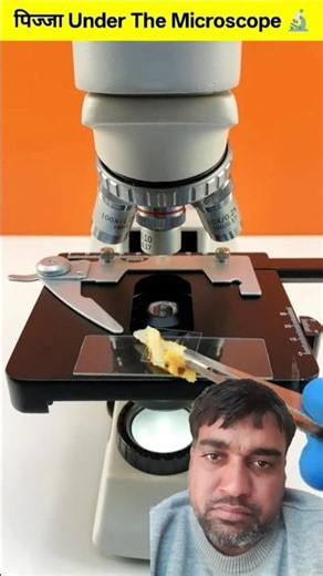 पिज़्ज़ा under the microscop 🔬😱, #ytshorts, #amezingfacgsn