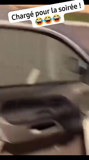 C'est l'inspecteur Gadget le mec ou quoi ? 😂😂 | Belka