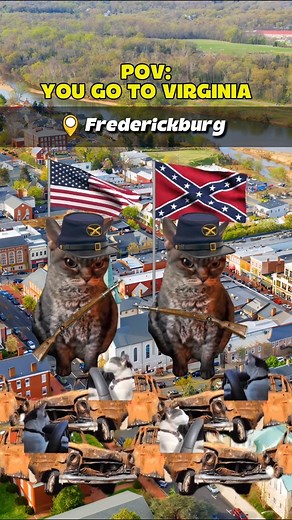 Madwolf on Instagram: "Pov: You go to Virginia . . . #virginia #travel #usa #funny"