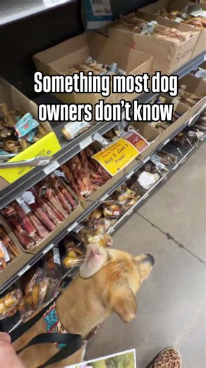 Pet Stores-read the description for more information ￼