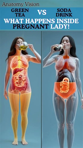 What This Drink Does to Your Baby in the Womb 😱