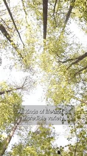 22K views · 178 reactions | Right now, 1 million species are at risk...