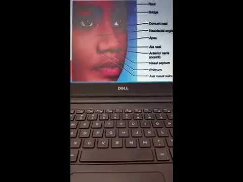 How to Perform a Nasal and Sinus Exam