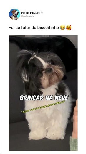 As palavras mágicas foram ditas 🤣✨