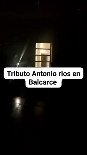 Cristina Pisani on Reels