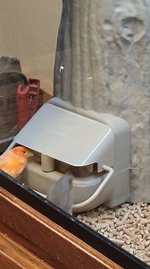 2.6K views · 15 reactions | The Infinity Feeder is a huge step...