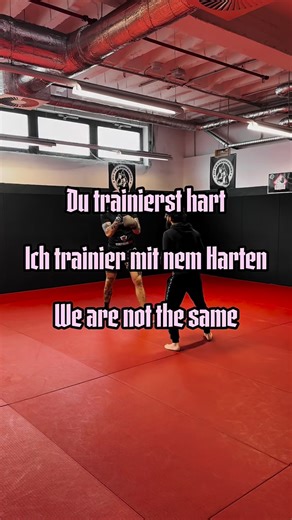 Sebastian „Vanilla Gorilla“ Thieme on Instagram: "🐞Marienkäfer (Familie Coccinellidae) sind keine Zufallserscheinung im Garten, sondern funktionale Nützlinge. 🔴 Erkennungsmerkmal: meist rote oder orange Flügeldecken mit schwarzen Punkten 🟢 Aufgabe im Ökosystem: natürliche Schädlingskontrolle 🍃 Nahrung: vor allem Blattläuse – ein einzelnes Tier kann mehrere Tausend pro Saison fressen 🛡️ Abwehrmechanismus: Bei Bedrohung scheiden sie eine gelbliche, bitter schmeckende Flüssigkeit aus Weltweit