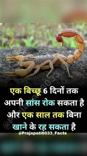 ऐसे facts जो आपने पहले कभी नहीं सुने होंगे।😱#shorts #facts #amazingfacts #factshorts #viralshorts