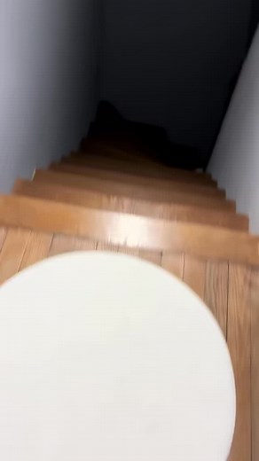 Ton copain à toujours des excuses de fou 😱#humour #funny #rire #couple | Mateo Festif