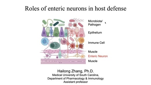 Enteric neurons and host defense
