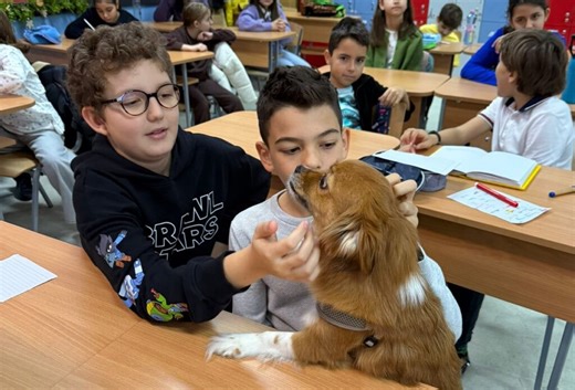 Zile decisive pentru opționalul „Ora cu și pentru animale”. Apelul lansat de Hilde Tudora pentru ca materia să fie extinsă la nivel național: „Vă rog din tot sufletul! E cel mai important proiect pentru mine!”