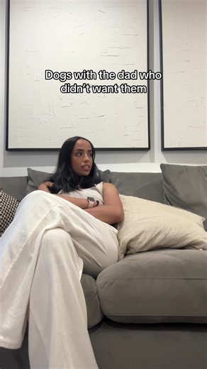 Primary Caregiver Woes: Ignored by Cockerspaniels