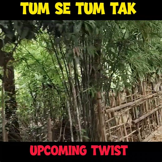 Arya Proposes Anu in Front of Everyone! Shocking Reaction from Her Family | Creative Entertain