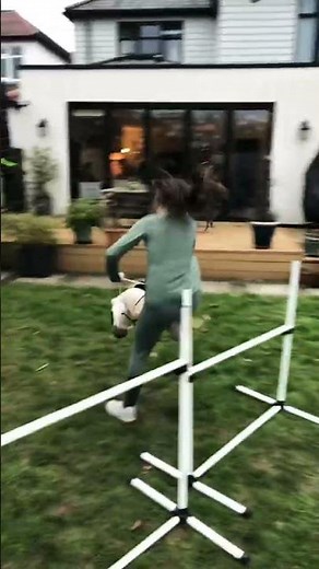 We Tried ALL Hobby Horsing Disciplines 😂🐎 #horse #equestrianjourney #horseriding