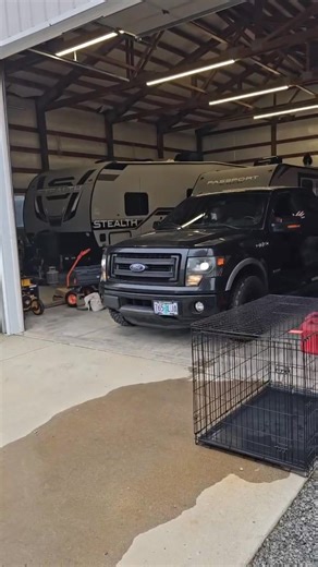 Tibetan Mastiff Rescue, Inc. on Reels