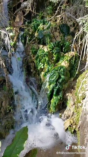 #thesoundofnature#@ambermg_vip