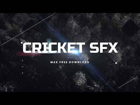 Crickets || Sound Effects || Free Download