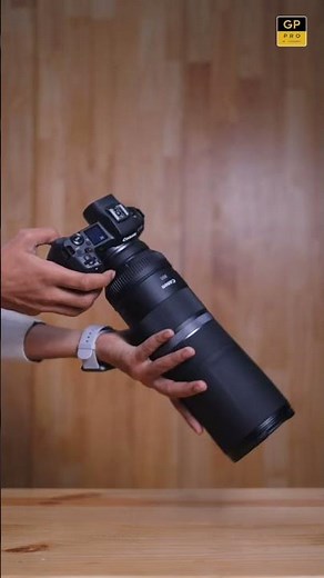 CANON RF 800MM F11 IS STM lens | BEST WILDLIFE PHOTOGRAPHY LENS