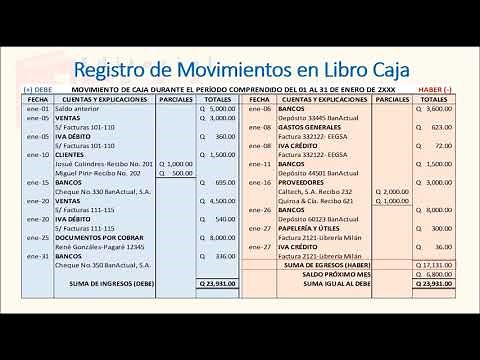 L17 Libro Caja