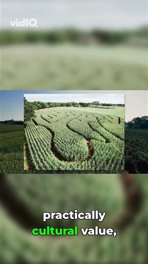 International Corn Mazes & Rice Paddy Art!