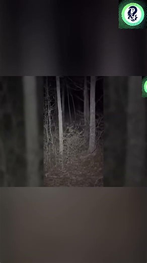 Appalachian Hiker Hears Eerie Mimic Voice in Woods #shorts