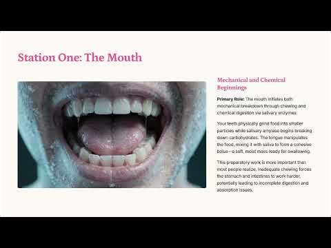 1.1.1 Overview: The Digestive Tract as a System