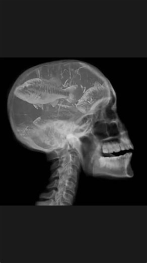 Dustin Cook on TikTok