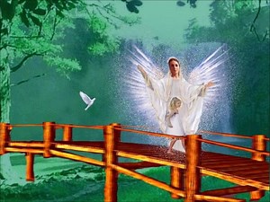 235K views · 3.4K reactions | Guardian Angel from heaven so bright, Watching beside me to lead me aright, Fold thy wings round me, and guard me with love, Softly sing songs to me of heaven above. Amen Author Unknown | Ally's Angel Sanctuary | Facebook