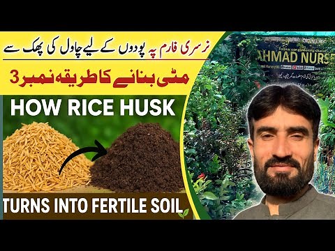 How Rice Husk Turns into Fertile Soil 🌿 | Complete Composting Guide | Plants Soil